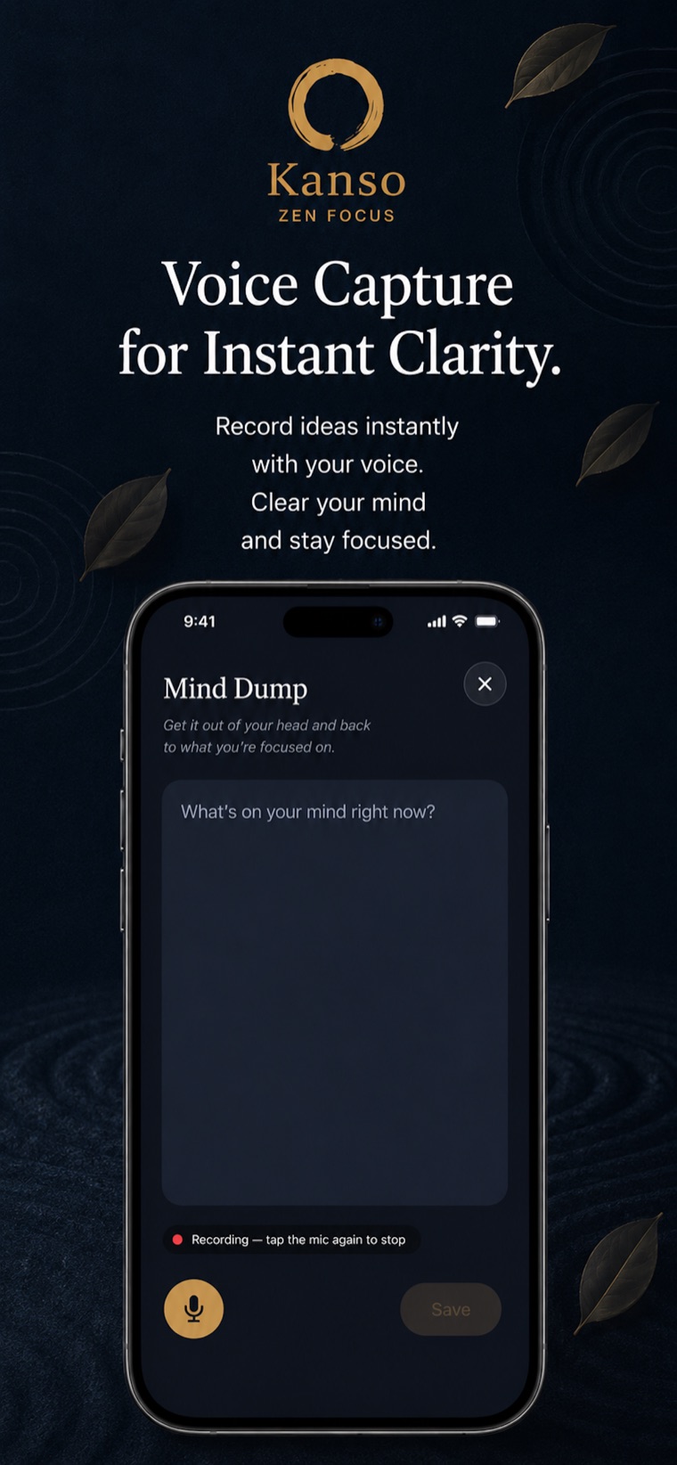 Voice input